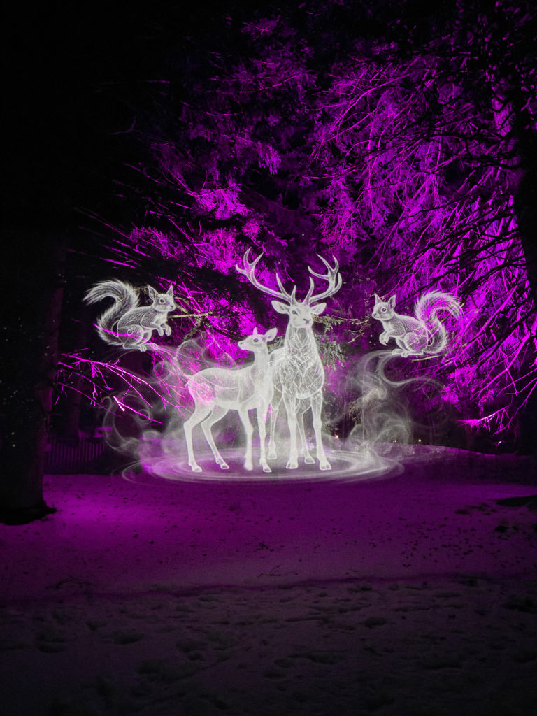 Crans montana mapping video lumière lasers lumen projection hologramme animaux