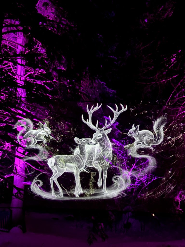 Hologramme laser d'animaux de la forêt