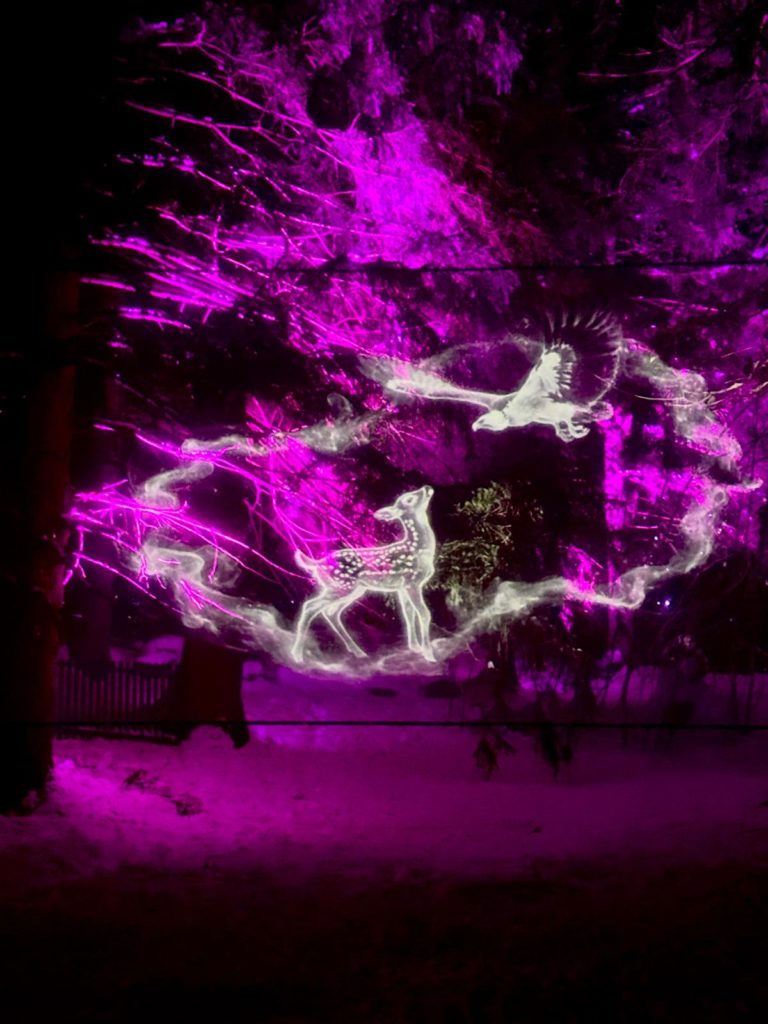 crans montana chemin de lumière mapping video projections lumen créations hologramme animaux